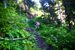 Camp_Diablerets_2012_3074