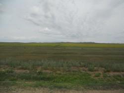 Mongolie 20160717 054345016 