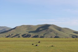 Mongolie 20160719 003700435 