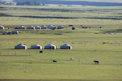 Mongolie 19 juillet 2016