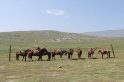 Mongolie 20160723 054621075