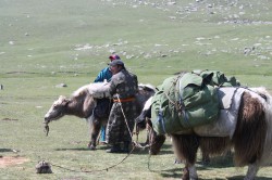 Mongolie 20160723 054705076