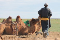 Mongolie 20160727 030024316