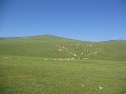 Mongolie 20160724 025735005 