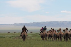 Mongolie 20160727 050704380